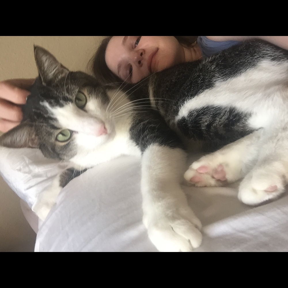 Meet your Posher, Caroline